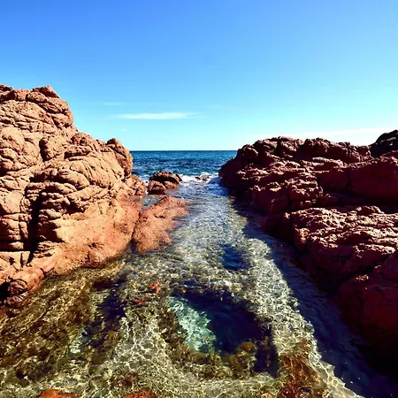 Vendégház Dommu Livia